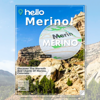 Image for Merino