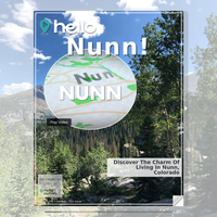 Image for Nunn