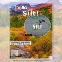 Image for Silt