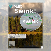 Image for Swink