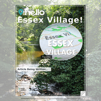 Image for Essex Village