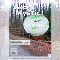 Image for Mystic