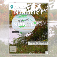 Image for Niantic