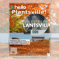 Image for Plantsville