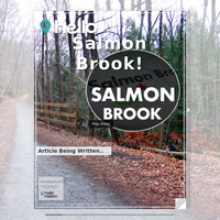 Image for Salmon Brook