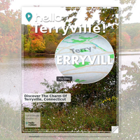 Image for Terryville