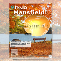 Image for Mansfield