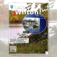 Image for Wilton