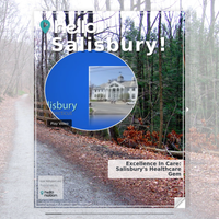 Image for Salisbury