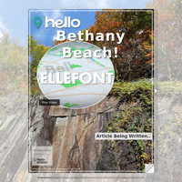 Image for Bethany Beach