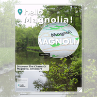 Image for Magnolia