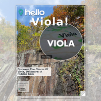 Image for Viola