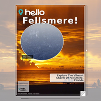 Image for Fellsmere