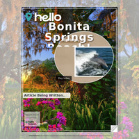 Image for Bonita Springs Beach