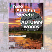 Image for Autumn Woods