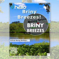 Image for Briny Breezes