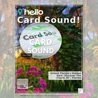 Image for Card Sound