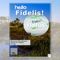 Image for Fidelis