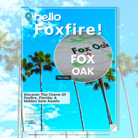 Image for Foxfire