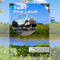 Image for Pine Level