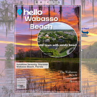 Image for Wabasso Beach