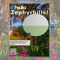 Image for Zephyrhills