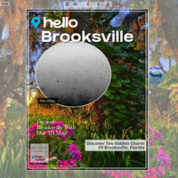 Image for Brooksville