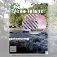 Image for Tybee Island