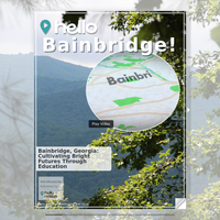 Image for Bainbridge