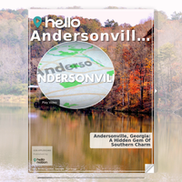 Image for Andersonville