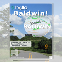 Image for Baldwin