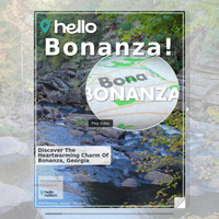 Image for Bonanza