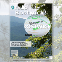 Image for Bostwick