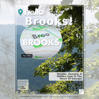 Image for Brooks