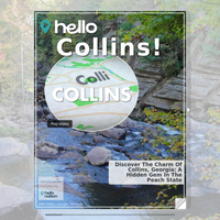 Image for Collins