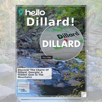 Image for Dillard