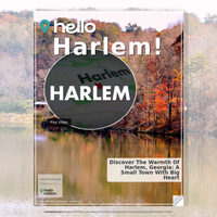 Image for Harlem