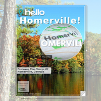 Image for Homerville