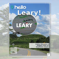 Image for Leary