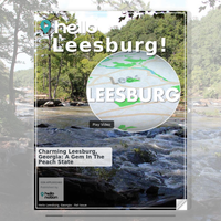 Image for Leesburg