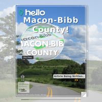 Image for Macon-Bibb County