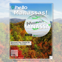 Image for Manassas