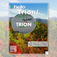 Image for Trion