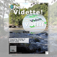 Image for Vidette