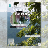 Image for County of Bartow