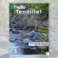 Image for Tennille