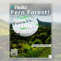 Image for Fern Forest