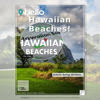 Image for Hawaiian Beaches