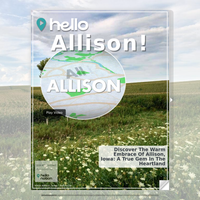 Image for Allison