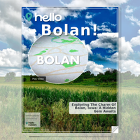 Image for Bolan